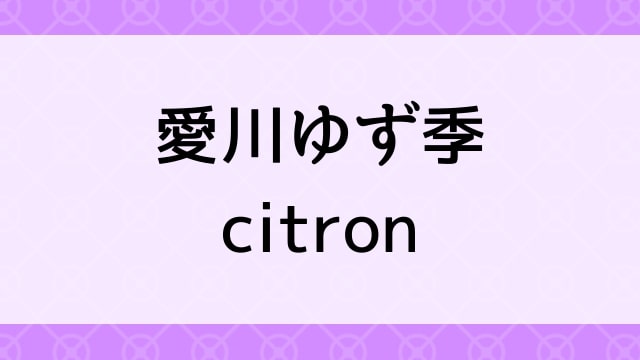 【愛川ゆず季＜あいかわゆずき＞citron】グラビアアイドル動画は無料配信で見れる？｜Hカップ・爆乳美少女・2004年でおすすめグラドルイメージビデオ